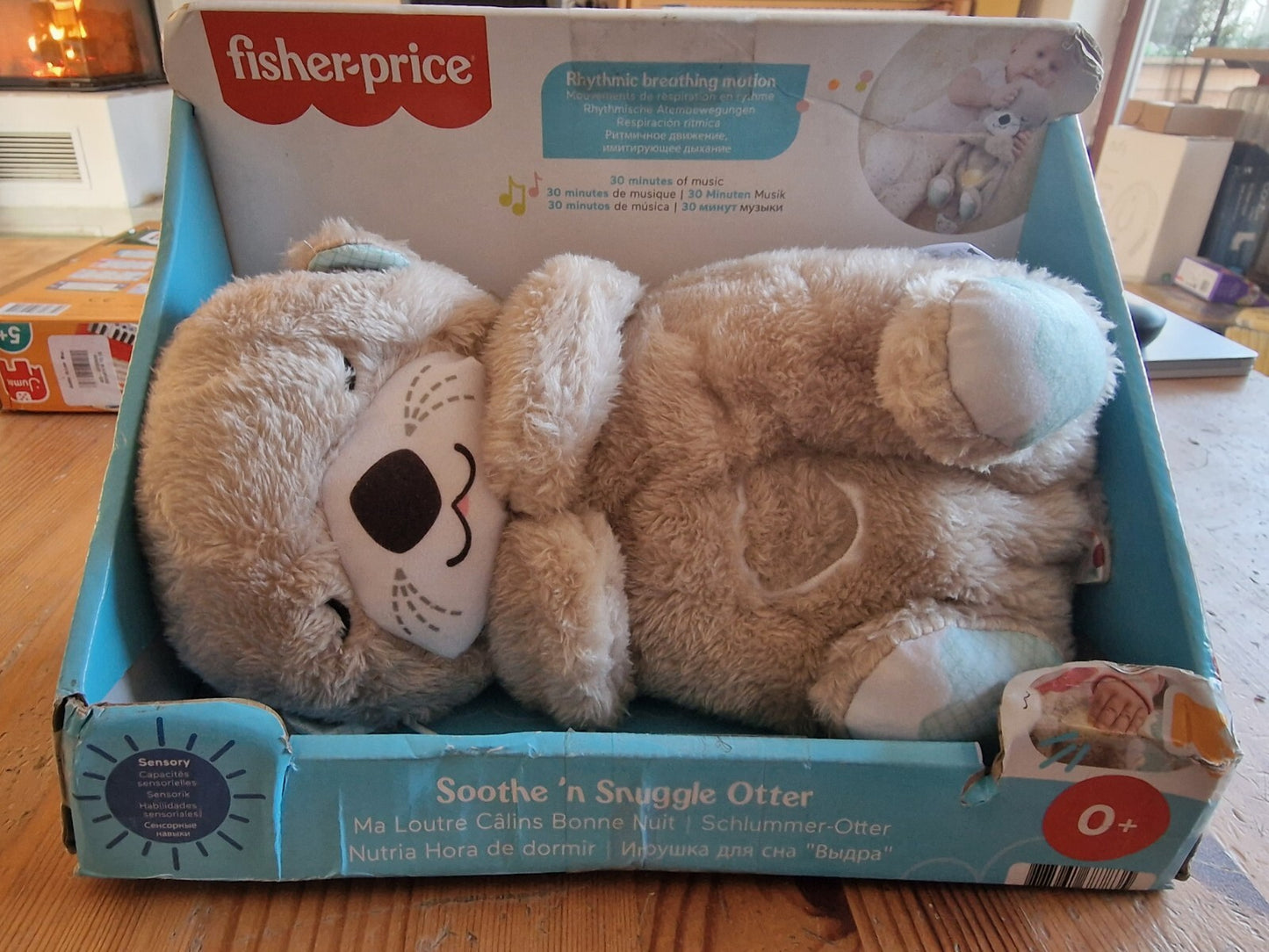 Mattel Fisher-Price Schlummer-Otter (FXC66)