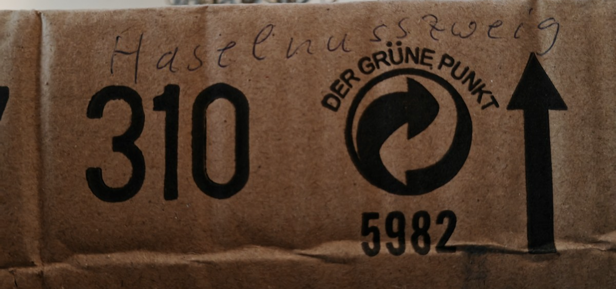 Haselnusszweig Kunstzweig 40 cm Dekozweig Korkenzieherzweig Floristik Braun C5