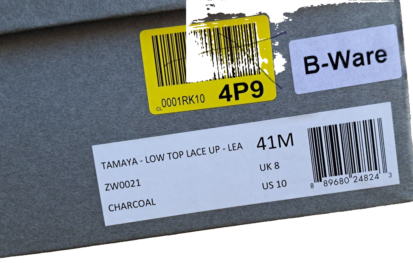 Allsaints Marco - Tamaya - Low Top Lace Up, Damensneaker, Größe 41