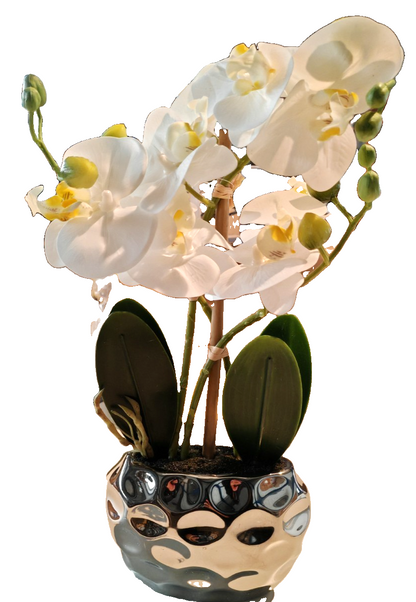 Künstliche Orchidee Weiß im Silbertopf 33 cm Kunstblume Phalaenopsis E7