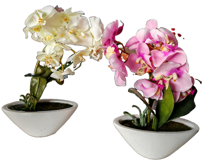 Künstliche Orchideen 2er Set Rosa Weiß Kunstpflanzen im Topf 22 cm Deko B7