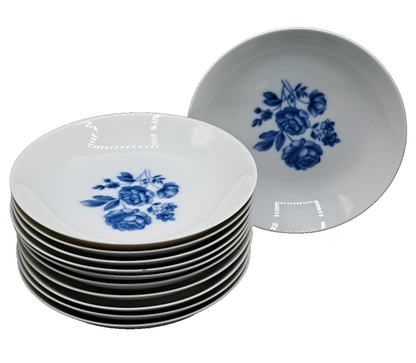 Arzberg Porzellan Kaffeeservice Blau Rosen Vintage Geschirr Set