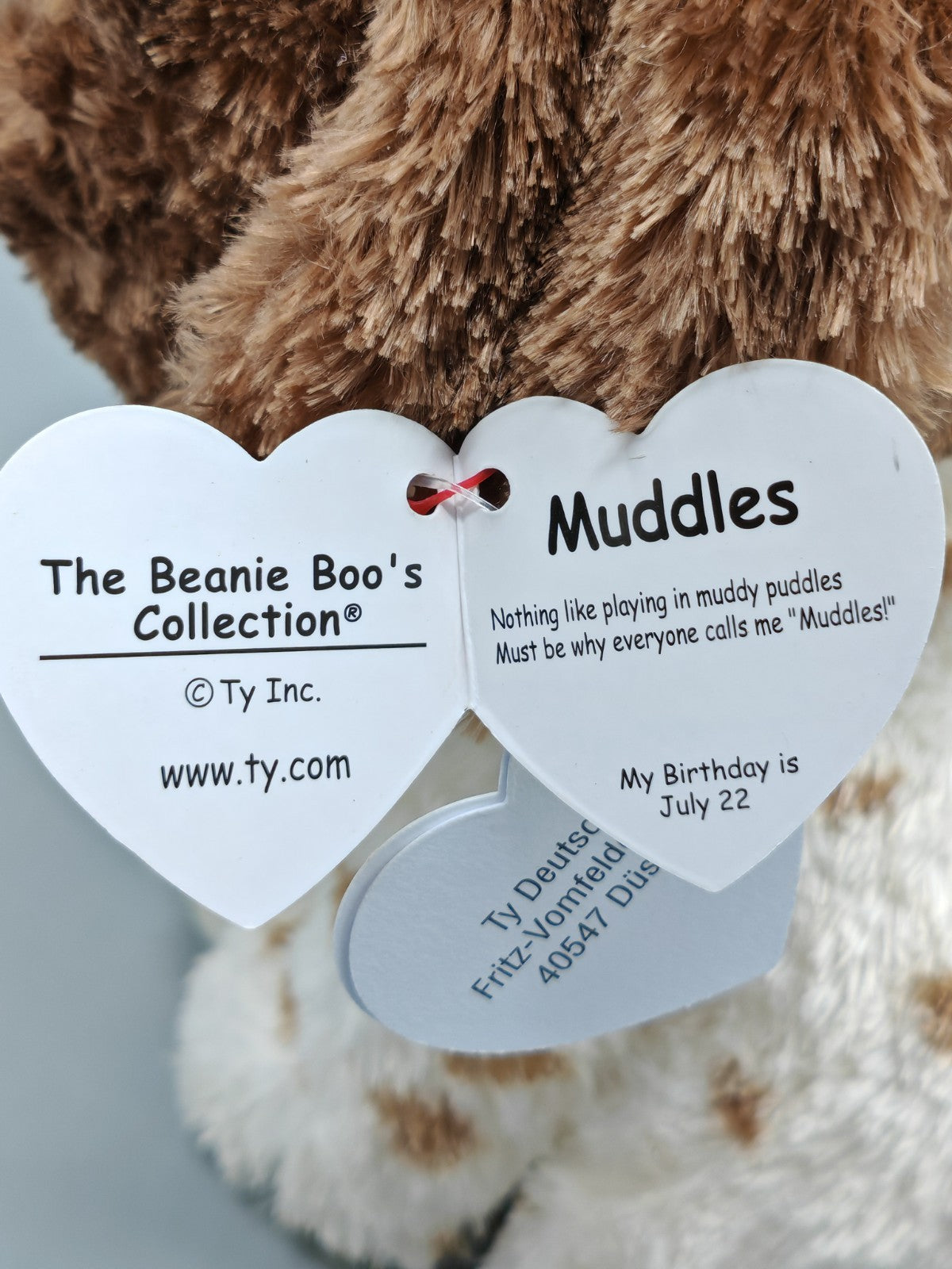 The Beanie Boo's Collection Muddles