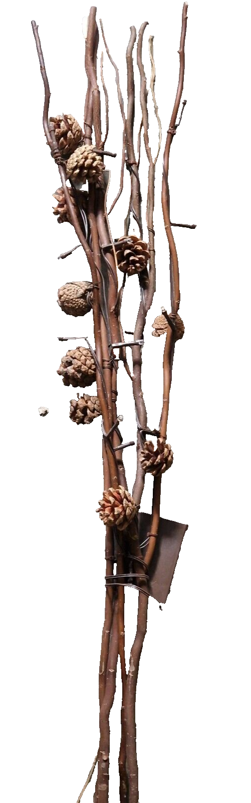 LED-Zweige "Zapfen" Dekoration echten Natur-Zapfen 5er-Set je ca. 75 cm - Neu