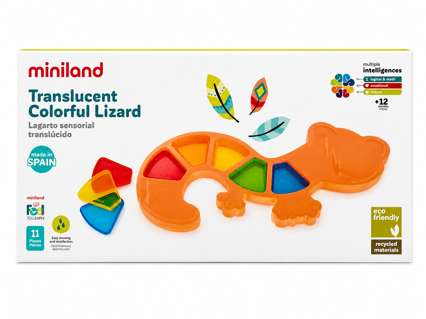 Miniland Translucent Colorful Lizard Motorikspielzeug 11 Teile ab 12 Monate D4