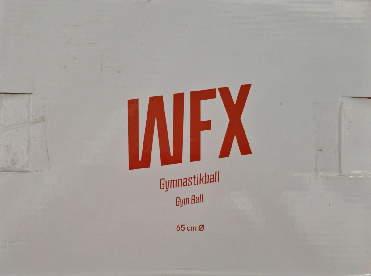 WFX Orion Gymnastikball 65cm Orange Fitnessball Sitzball inkl. Luftpumpe E2