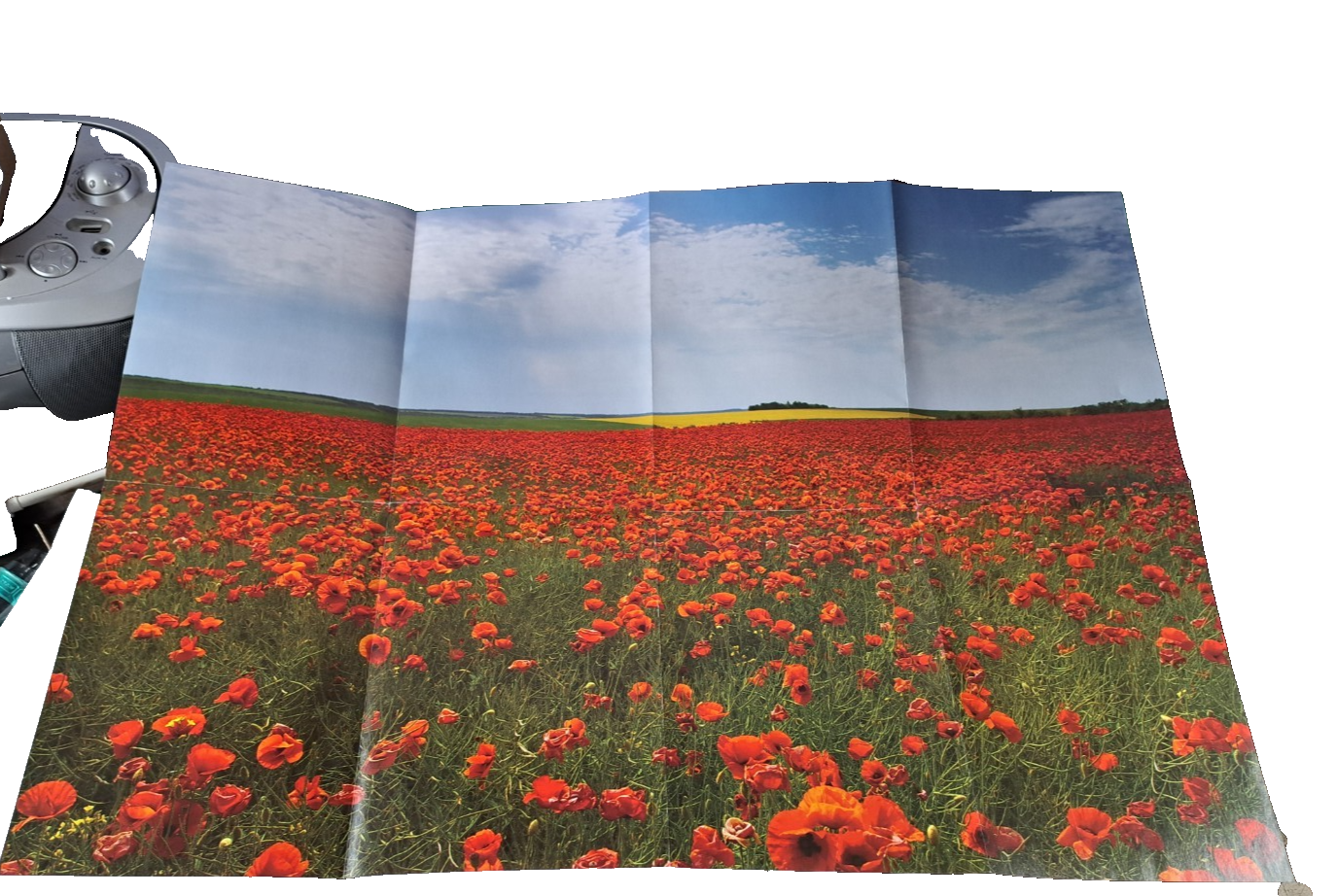 Puzzle Mohnblumenwiese, 1000 Teile