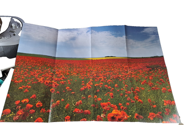Puzzle Mohnblumenwiese, 1000 Teile