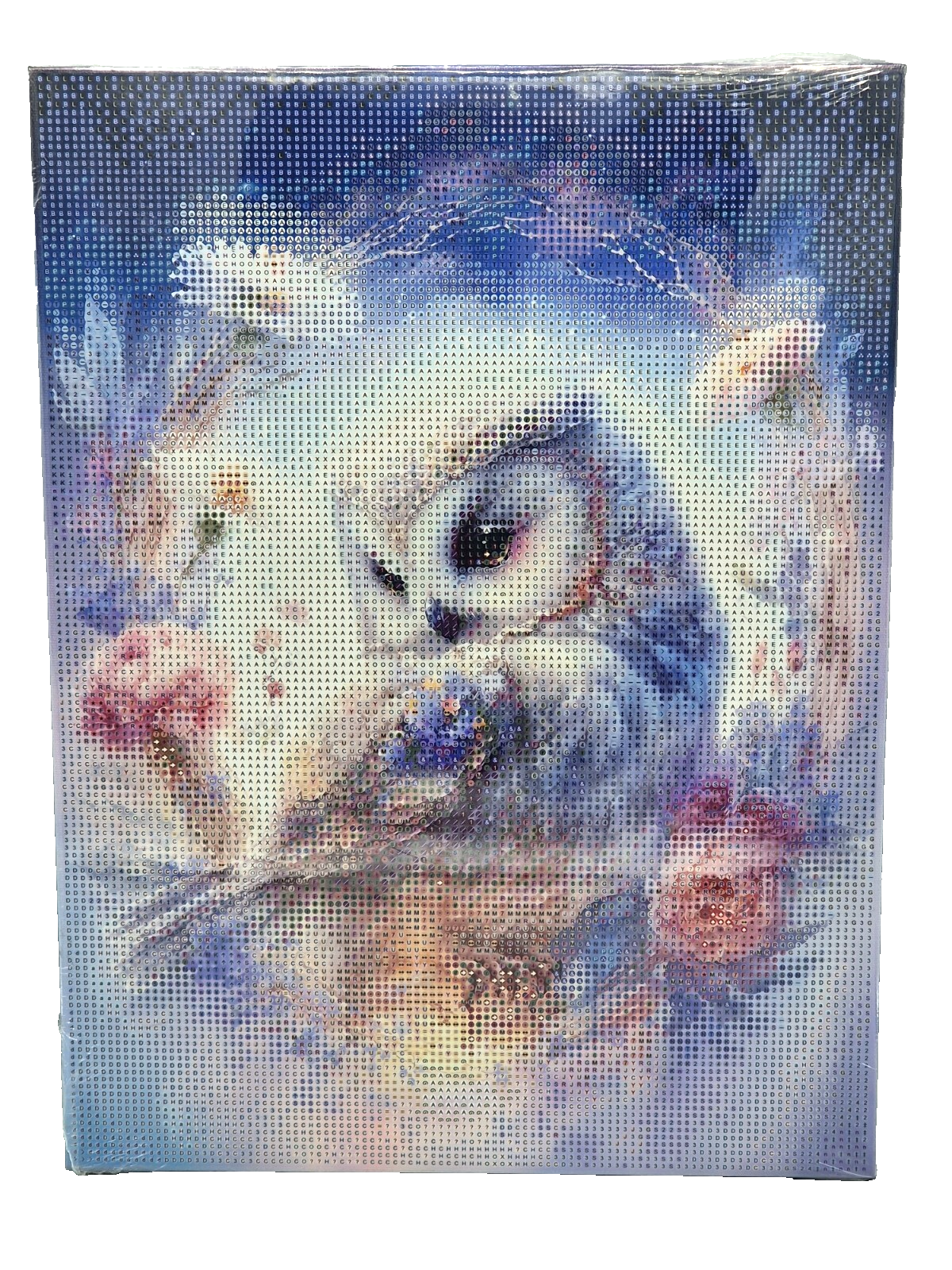 5D Diamond Painting Magic Eule 30x40cm Malen nach Zahlen Stickerei