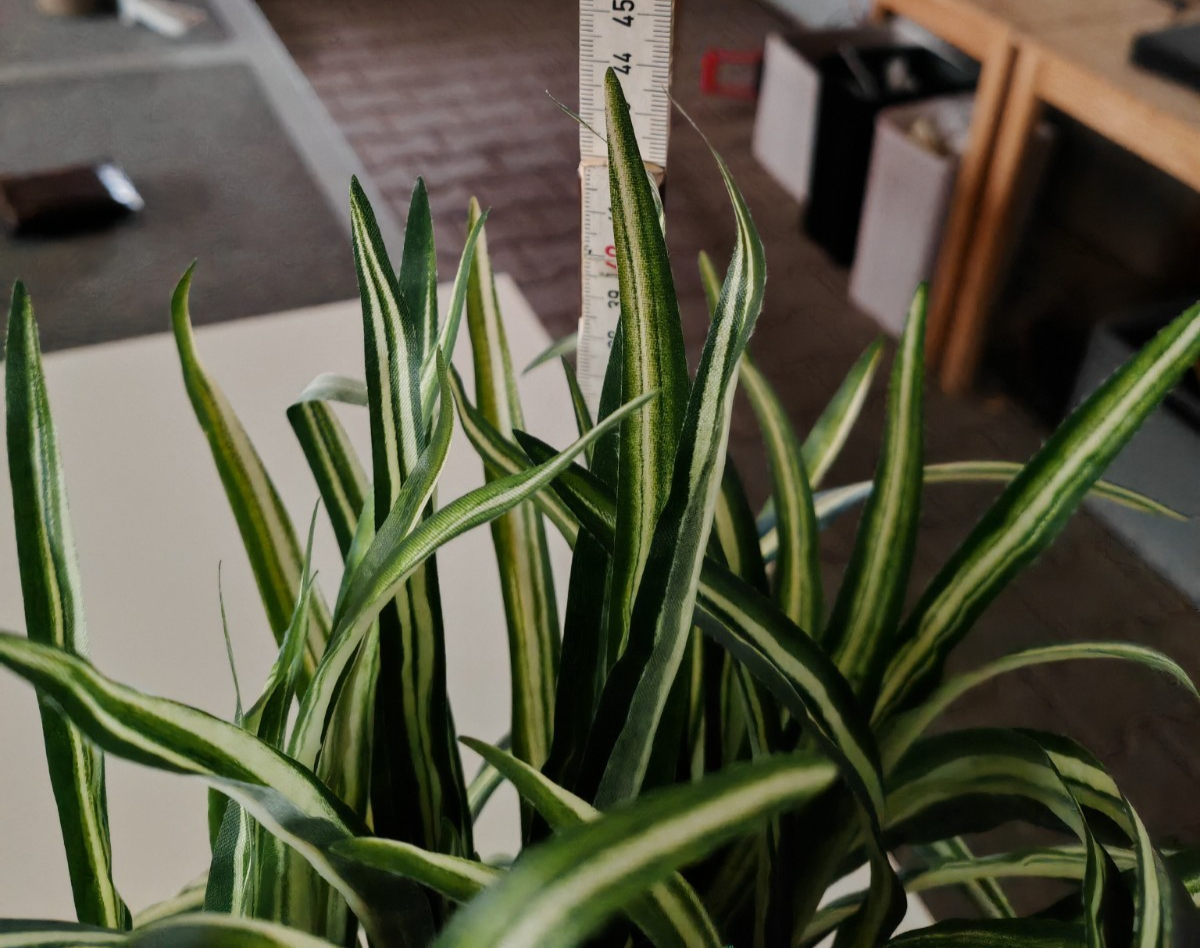Künstliche Grünpflanze im Topf 44 cm Kunstpflanze Grün Weiß Zimmerpflanze E7