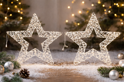 Geroma Deko Stern Weiß Silber ca. 26cm Weihnachtsstern Hängedeko Weihnachten H23