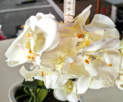 Künstliche Orchideen 2er Set Rosa Weiß Kunstpflanzen im Topf 22 cm Deko B7