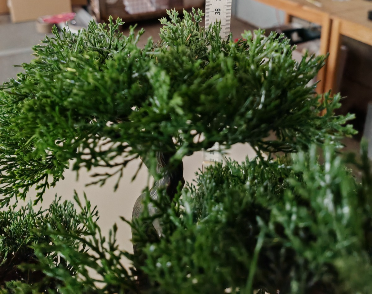 Künstlicher Bonsai Zypresse 36 cm Kunstbaum im schwarzen Topf Zimmerdeko E7