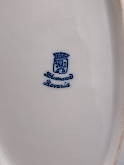Schumann Bavaria Porzellan Schale Dessertschale Servierschale Sammler