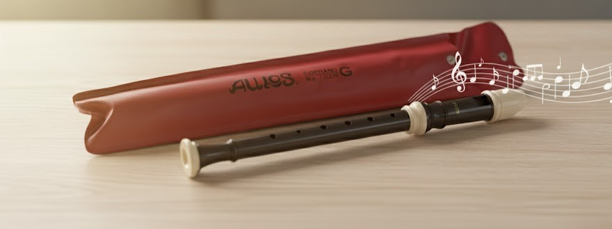 Aulos 102N G Sopran Blockflöte Einsteiger Flöte mit Etui Schule Musik