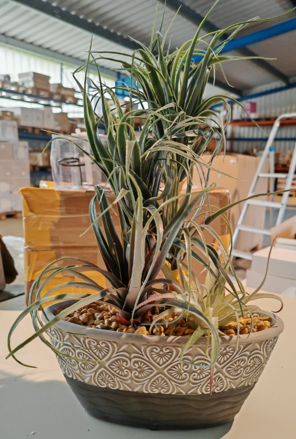 Künstlicher Drachenbaum Dracena in Dekoschale 40 cm Kunstpflanze Grün B3