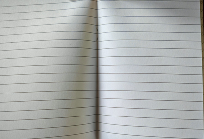 BELLE VOUS Notizbücher A6 12er Set Liniert 80 Seiten Notizblock Journal Braun C4