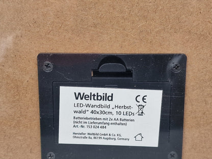 Weltbild LED Wandbild Herbstwald 40x30 cm 10 LEDs Deko Wanddekoration