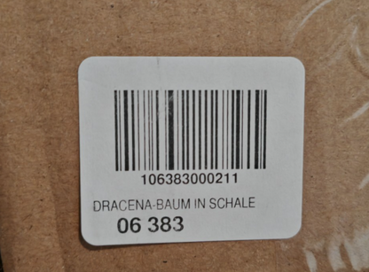 Künstlicher Drachenbaum Dracena in Dekoschale 40 cm Kunstpflanze Grün B3