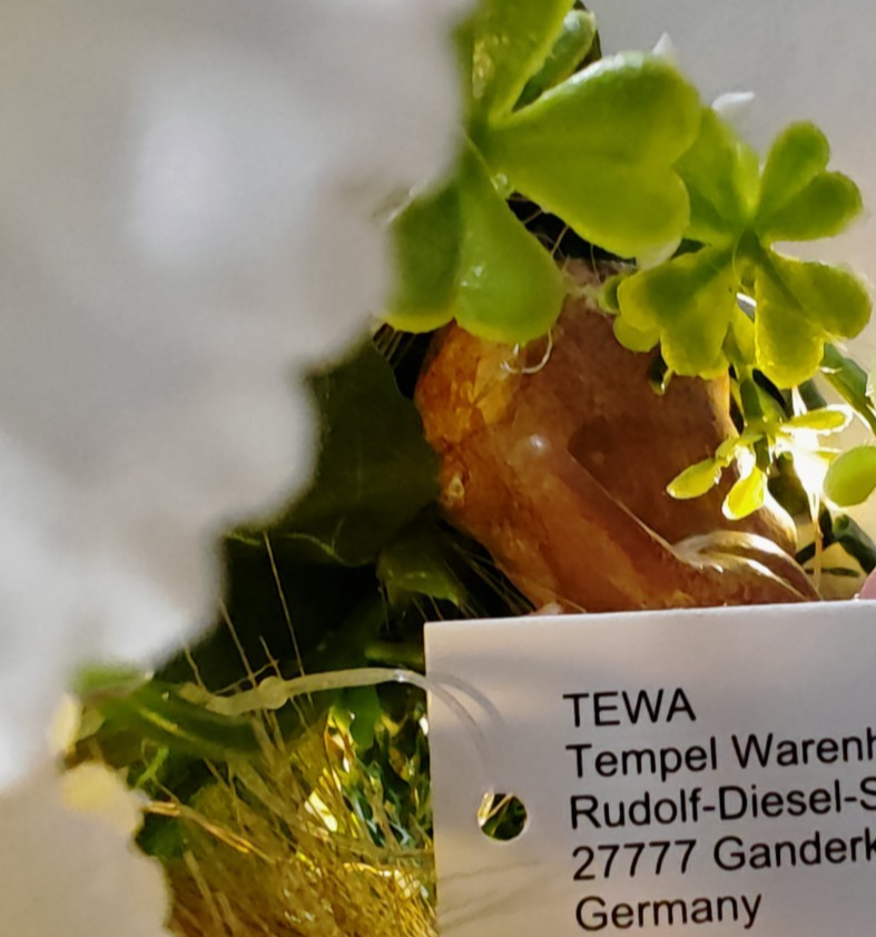 TEWA LED Blumengesteck beleuchtet Kunstblumen Tischdeko Pampasgras Rosen E7