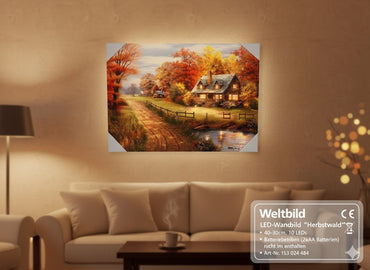 Weltbild LED Wandbild Herbstwald 40x30 cm 10 LEDs Deko Wanddekoration