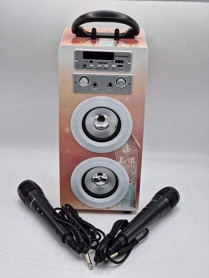 Dynasonic E-025 Karaoke Lautsprecher Bluetooth Mikrofon Akku USB SD FM TWS HA24