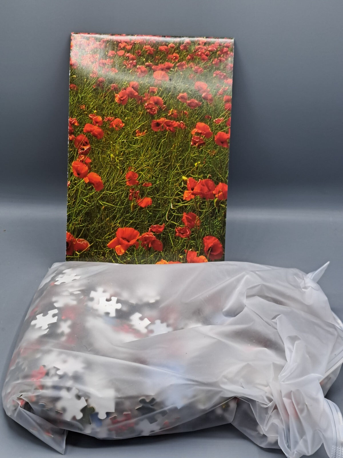Puzzle Mohnblumenwiese, 1000 Teile