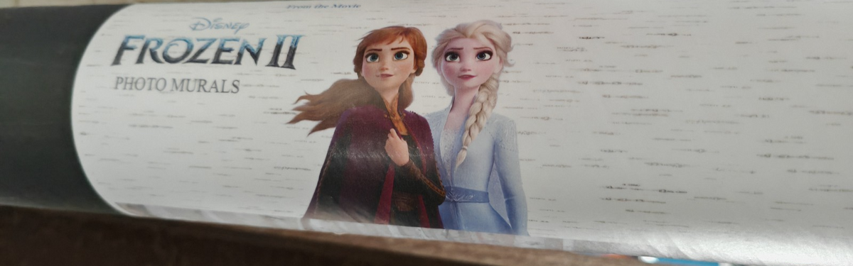 Disney Frozen 2 Fototapete Elsa Anna 90x202 cm Vlies AG Design FTDN V 5487 D