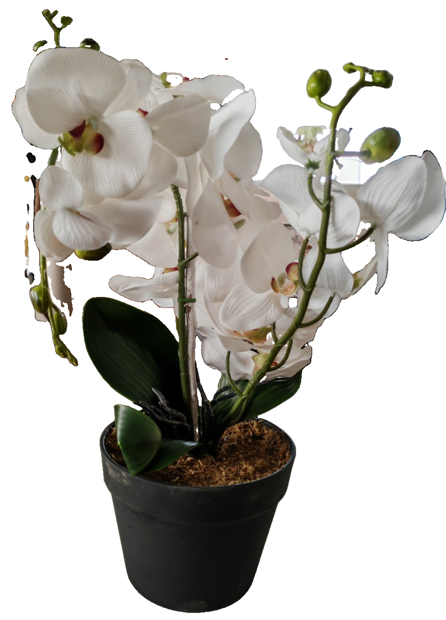 Künstliche Orchidee Weiß im Topf 55 cm Kunstblume Phalaenopsis Dekopflanze C2