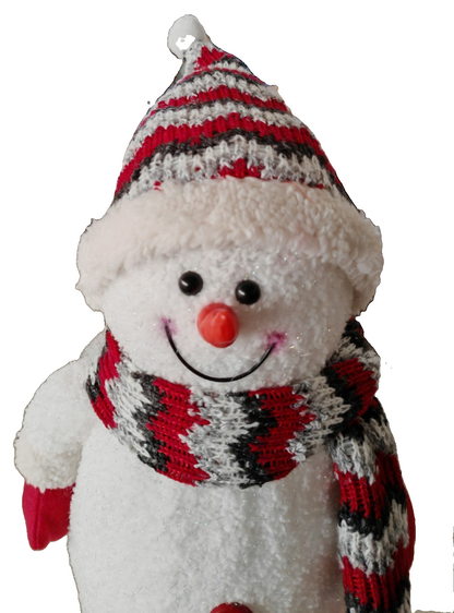 STAR Trading LED Schneemann 35 cm Weihnachtsdeko Beleuchtet Batteriebetrieb C5