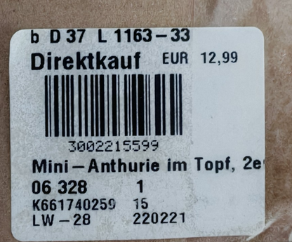 Künstliche Anthurie 2er Set Rot Weiß Kunstpflanzen im Topf 20 cm Deko E7