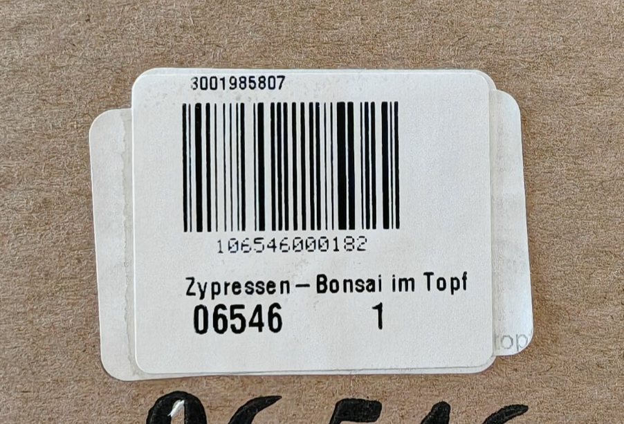 Künstlicher Bonsai Zypresse 36 cm Kunstbaum im schwarzen Topf Zimmerdeko E7