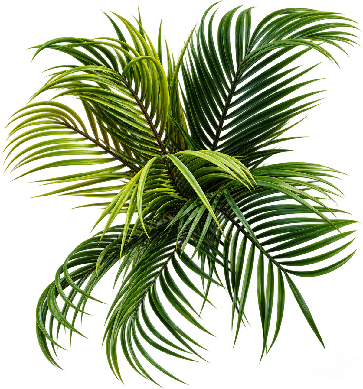 TEWA Kunstpalme ca. 45 cm künstliche Palme im Topf mit Holzständer Zimmerdeko E7