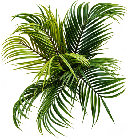 TEWA Kunstpalme ca. 45 cm künstliche Palme im Topf mit Holzständer Zimmerdeko E7