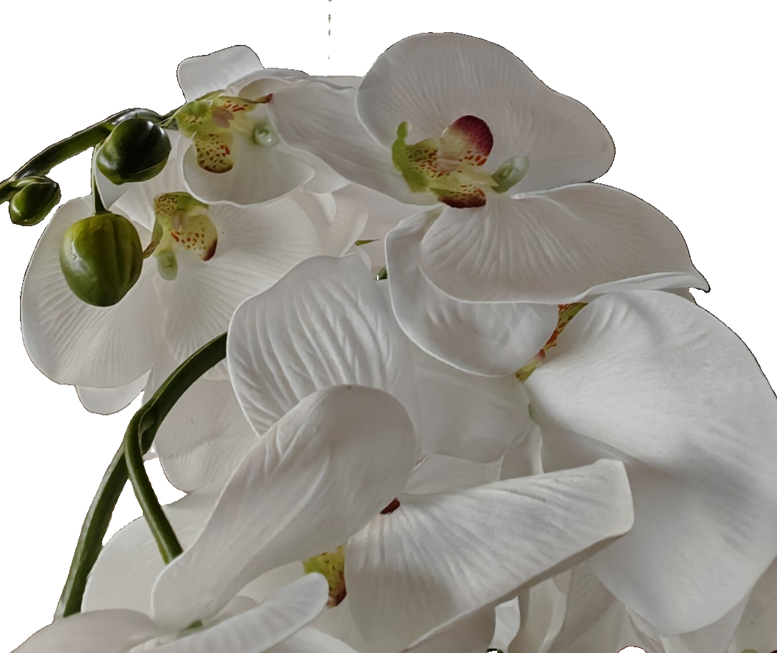 Künstliche Orchidee Weiß im Topf 55 cm Kunstblume Phalaenopsis Dekopflanze C2