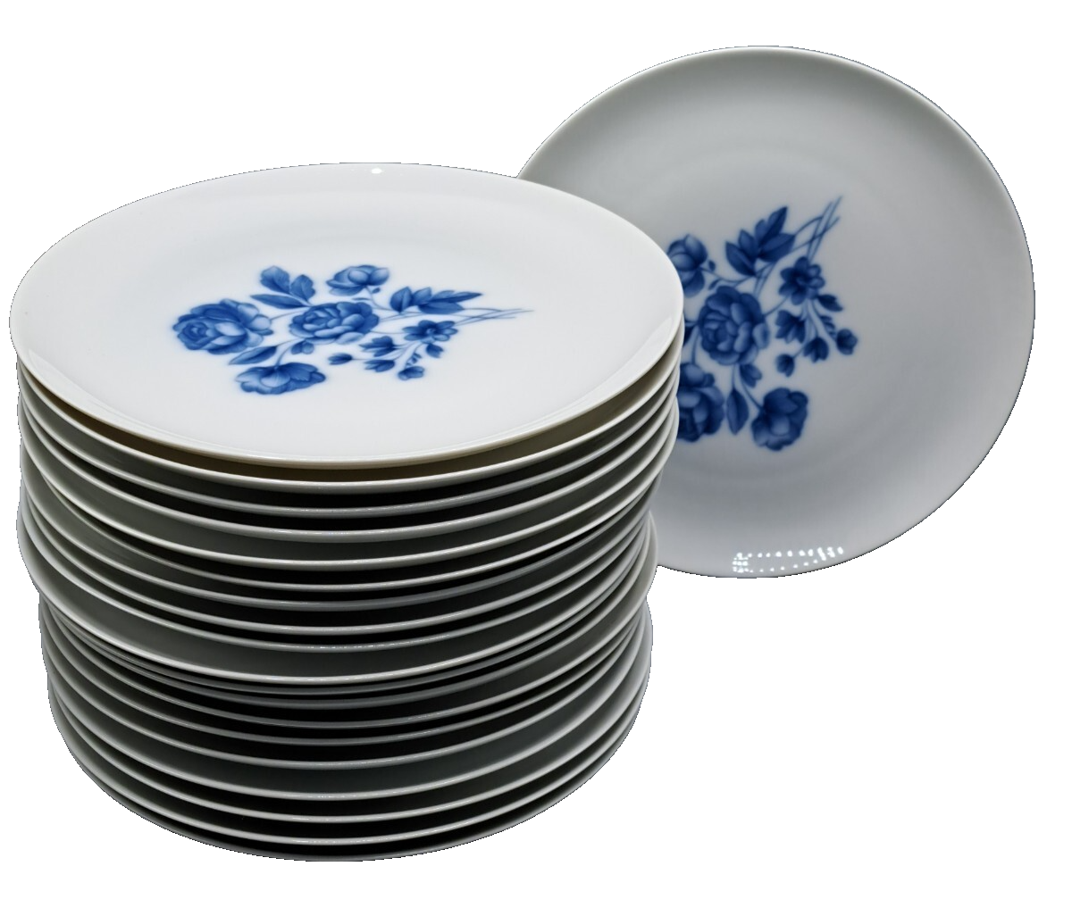 Arzberg Porzellan Kaffeeservice Blau Rosen Vintage Geschirr Set