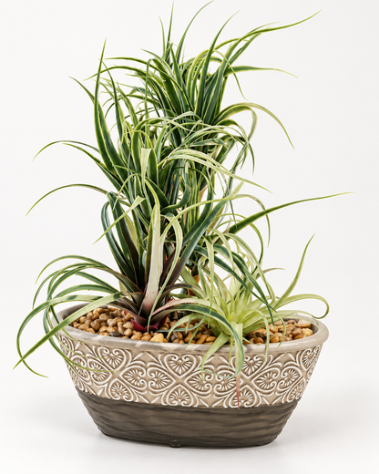 Künstlicher Drachenbaum Dracena in Dekoschale 40 cm Kunstpflanze Grün B3