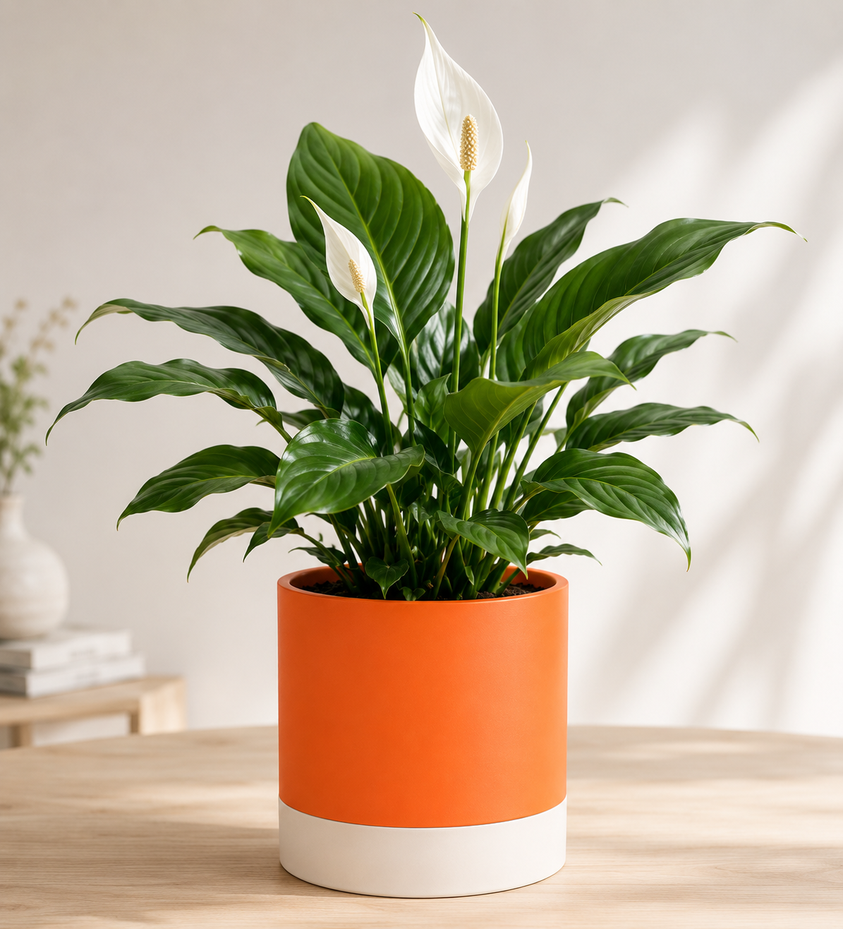 Belle Vous Blumentopf Terrakotta 15,5cm Bewässerungssystem Keramik Topf B-08