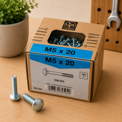 Lux Schlossschrauben verzinkt M5x20mm 100x Rundkopf metrisch Gewinde