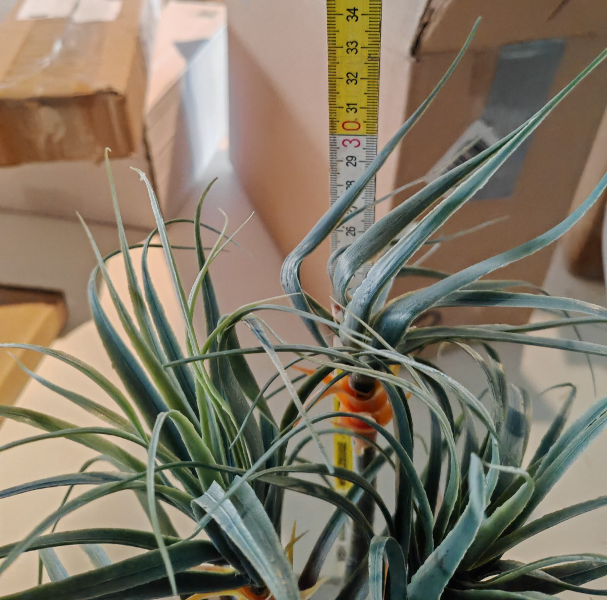 Dracena Kunstpflanze im Dekotopf 37 cm Kunstblumen Grün Grau Pflanzschale C6