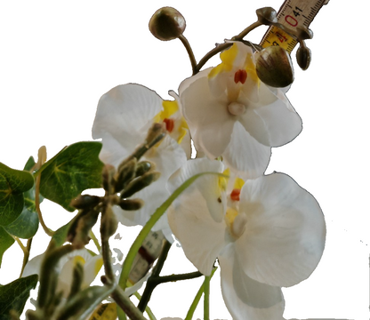 Künstliches Orchideengesteck mit Efeu Weiß Kunstblumen Pflanzschale 40 cm E7