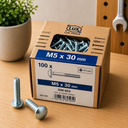 Lux Schlossschrauben verzinkt M5x30mm 100x Rundkopf metrisch Gewinde