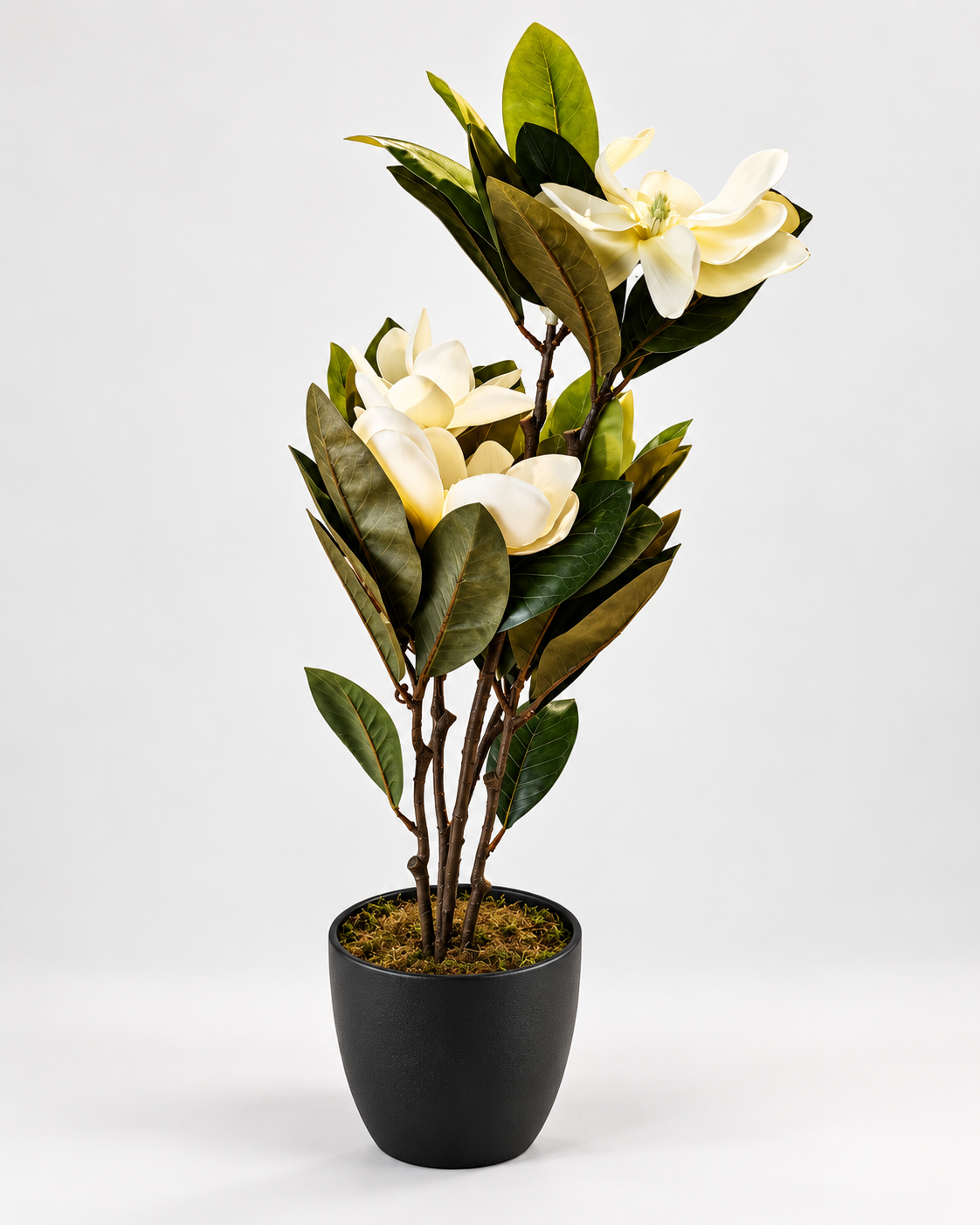 Künstliche Magnolie im Topf 57 cm Kunstpflanze Cremeweiß Dekopflanze E7
