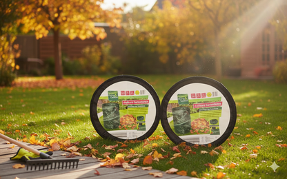 2er Set Living & Garden Faltbare Gartentonne mit Pop-up Funktion